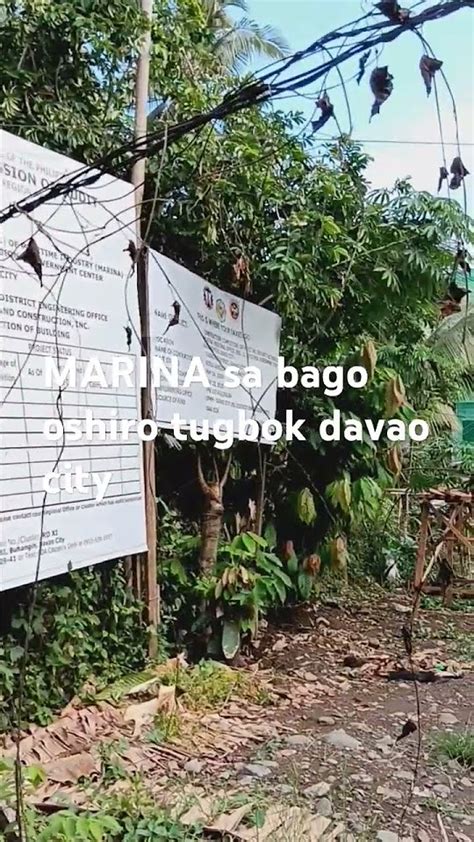 Bago Oshiro, Davao City Profile – PhilAtlas.